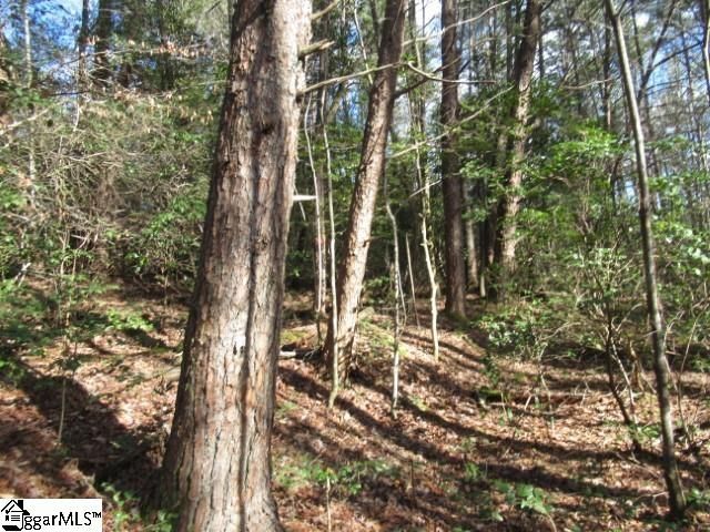 15 Matthews Creek Lane, Cleveland, SC 29635