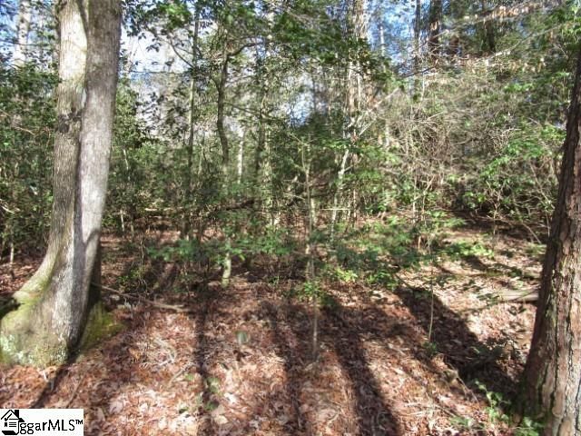 15 Matthews Creek Lane, Cleveland, SC 29635