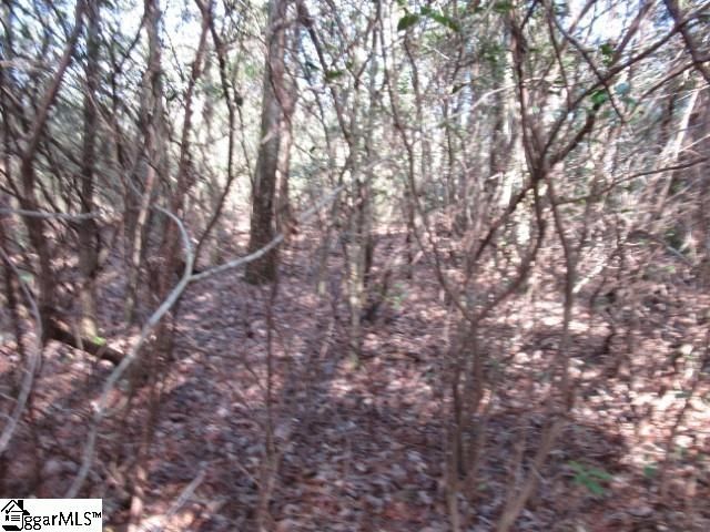 15 Matthews Creek Lane, Cleveland, SC 29635