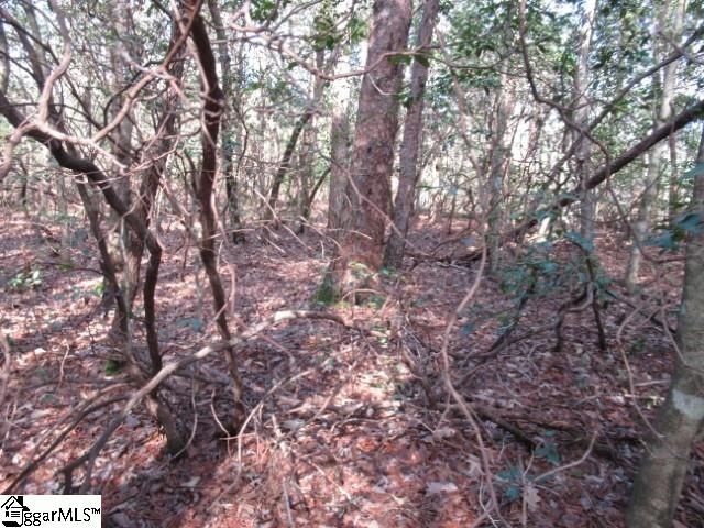 15 Matthews Creek Lane, Cleveland, SC 29635