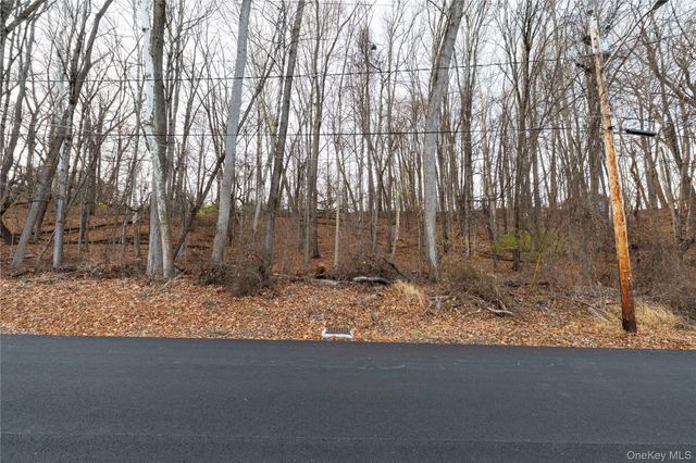 Sandra Street, Ellenville, NY 12428