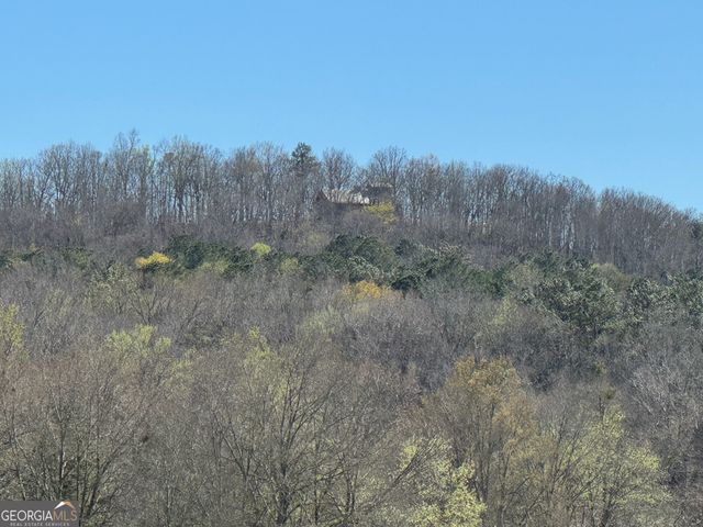 739 Barnes Mill Road, Hamilton, GA 31811