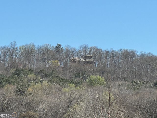 739 Barnes Mill Road, Hamilton, GA 31811