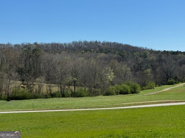 739 Barnes Mill Road, Hamilton, GA 31811