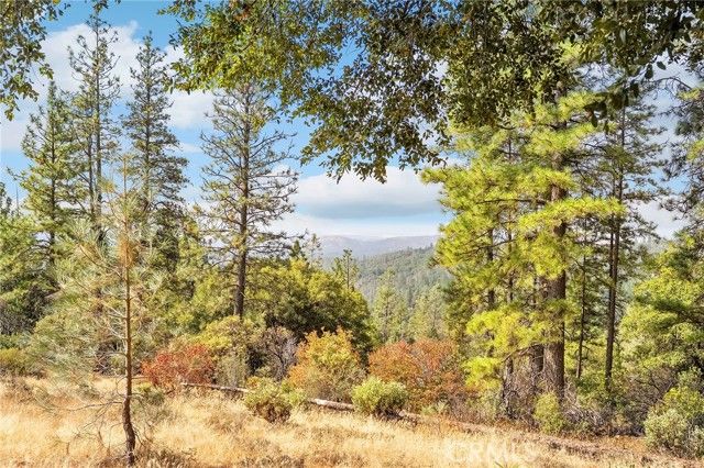 43 April Court, Oroville, CA 95966