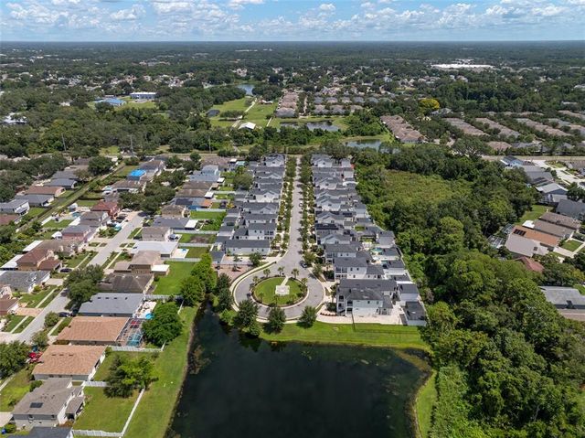 11227 MOULTRIE PLACE, Tampa, FL 33625