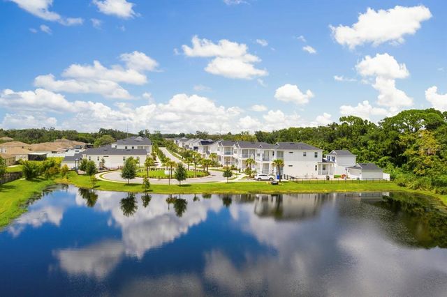 11227 MOULTRIE PLACE, Tampa, FL 33625