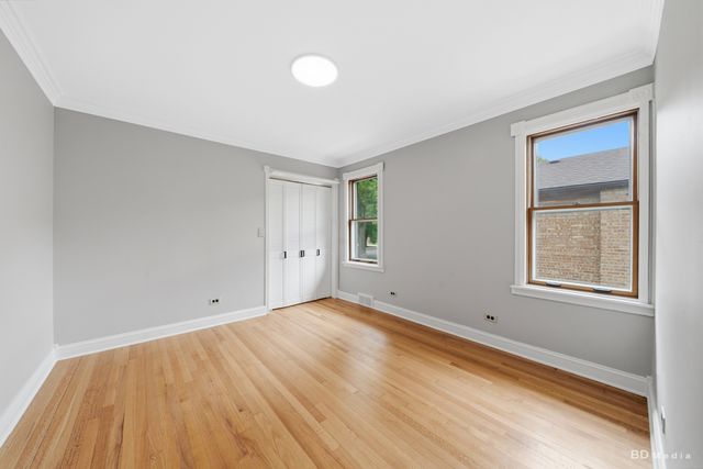 10428 S Springfield Avenue, Chicago, IL 60655