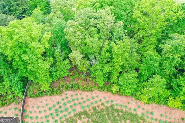 151 Rolling Hills Place, Canton, GA 30114
