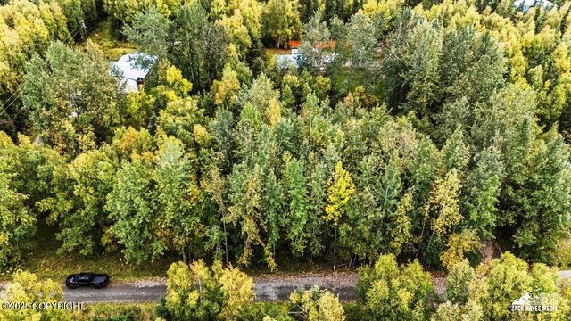 Lot 102 NW Loc Sault Avenue, Anchorage, AK 99516