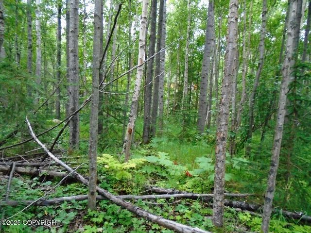 Lot 102 NW Loc Sault Avenue, Anchorage, AK 99516