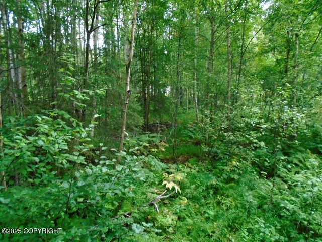 Lot 102 NW Loc Sault Avenue, Anchorage, AK 99516