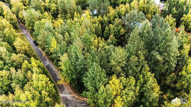 Lot 102 NW Loc Sault Avenue, Anchorage, AK 99516