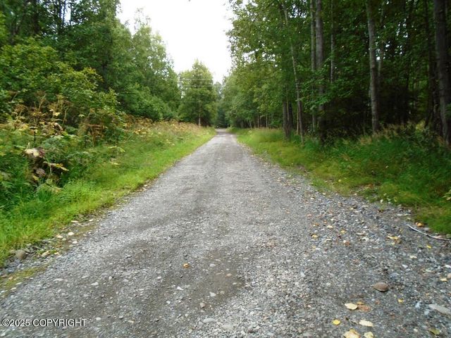 Lot 102 NW Loc Sault Avenue, Anchorage, AK 99516