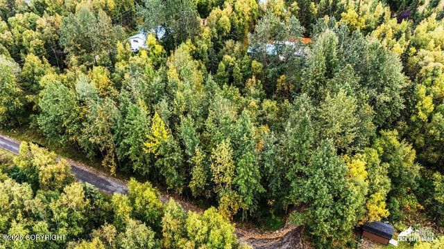 Lot 102 NW Loc Sault Avenue, Anchorage, AK 99516