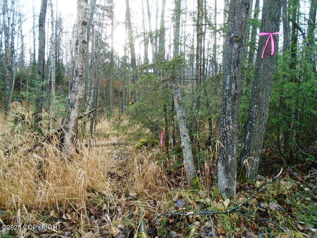 Lot 102 NW Loc Sault Avenue, Anchorage, AK 99516