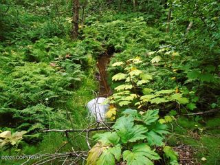 Lot 102 NW Loc Sault Avenue, Anchorage, AK 99516