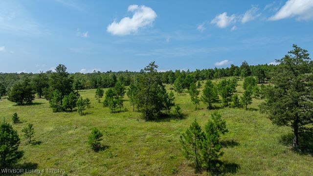 5500 Tate Road, Booneville, AR 72927