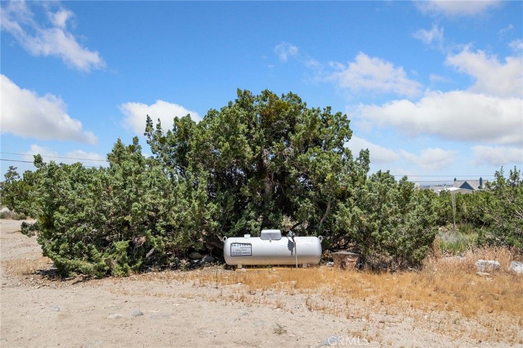 Image 20 of property listing at 565 Juniper, Pinon Hills, CA 92372