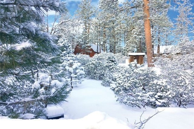 800 Eureka Drive, Big Bear Lake, CA 92315