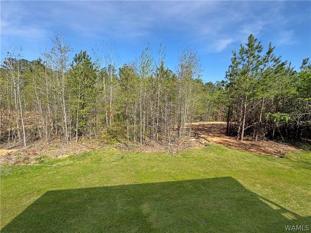 18032 Northview, Northport, AL 35475