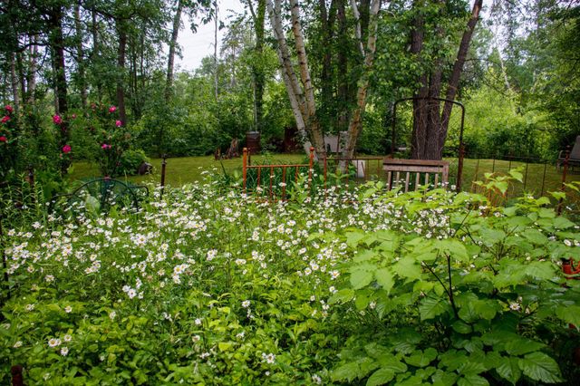 39437 County Road 3, Fifty Lakes, MN 56442