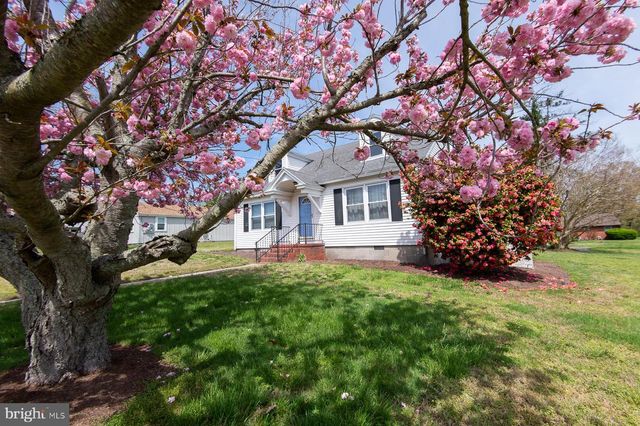 209 BUENA VISTA AVE, Cambridge, MD 21613