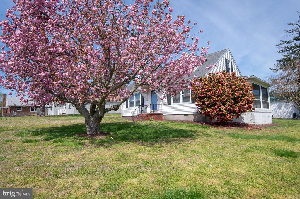 209 BUENA VISTA AVE, Cambridge, MD 21613