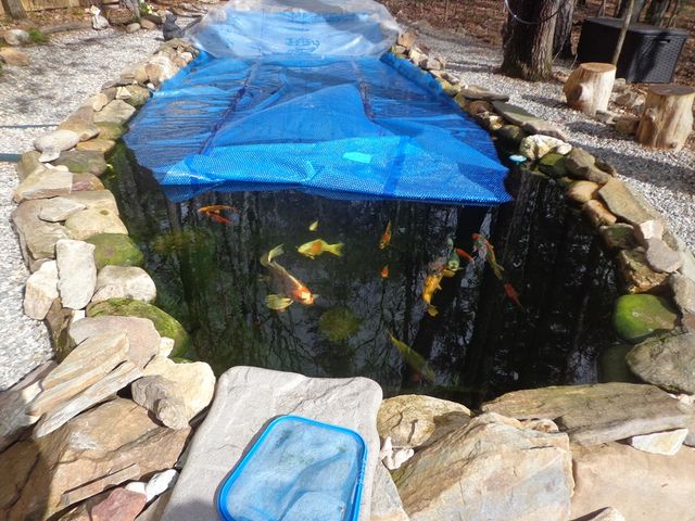 84 Victory Ridge Road, Morganton, GA 30560