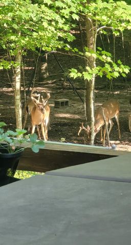 84 Victory Ridge Road, Morganton, GA 30560