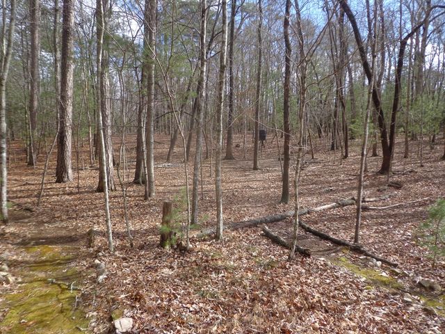 84 Victory Ridge Road, Morganton, GA 30560