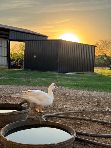 2515 County 141 Road, Kaufman, TX 75142