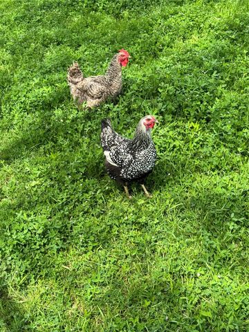 2515 County 141 Road, Kaufman, TX 75142