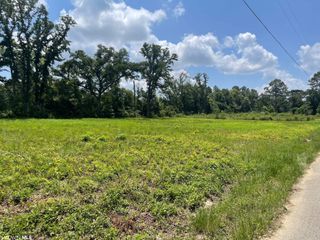 25636 US Highway 98, Elberta, AL 36530
