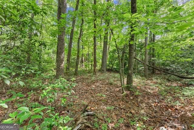 0 Sweetheart Lane, Sautee Nacoochee, GA 30571