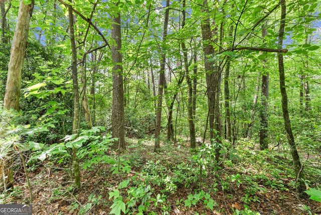 0 Sweetheart Lane, Sautee Nacoochee, GA 30571