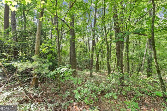 0 Sweetheart Lane, Sautee Nacoochee, GA 30571