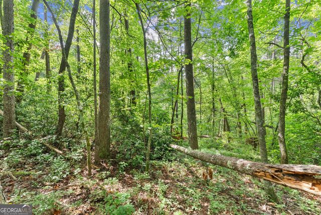 0 Sweetheart Lane, Sautee Nacoochee, GA 30571