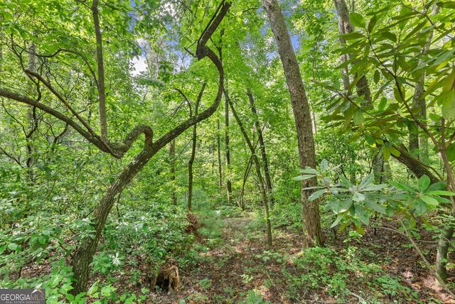 0 Sweetheart Lane, Sautee Nacoochee, GA 30571