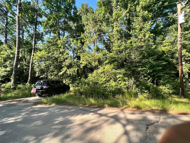 TBD Morgan Whatley Road, Montgomery, TX 77056