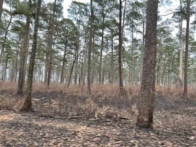 TBD Morgan Whatley Road, Montgomery, TX 77056