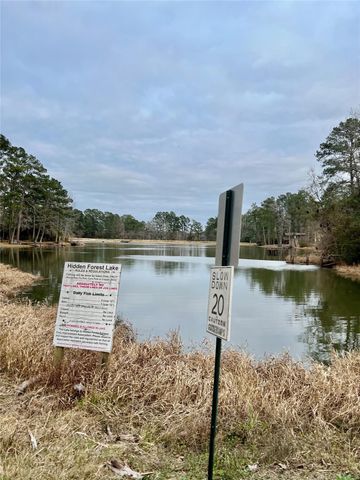 TBD Morgan Whatley Road, Montgomery, TX 77056