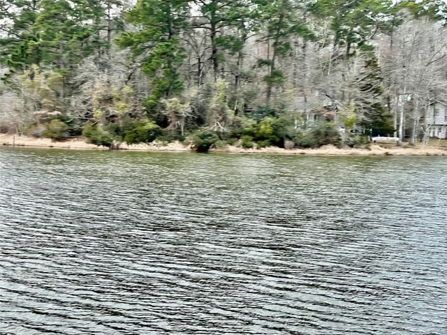 TBD Morgan Whatley Road, Montgomery, TX 77056