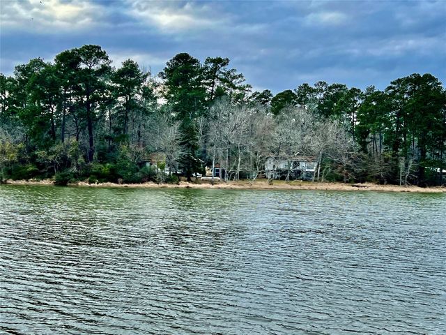 TBD Morgan Whatley Road, Montgomery, TX 77056