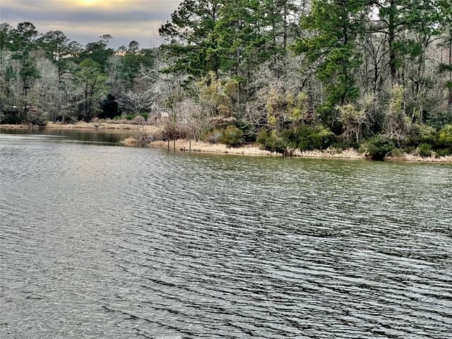 TBD Morgan Whatley Road, Montgomery, TX 77056