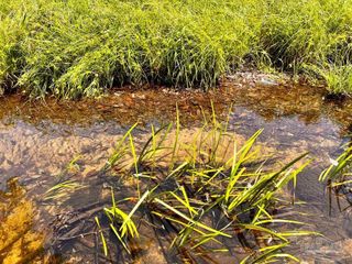 Lot 95 Turning Leaf Rd, North Pace, FL 32571