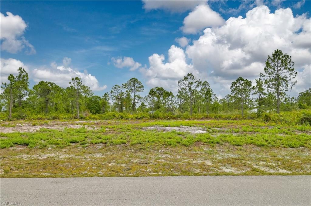 317 Bradley AVE, LEHIGH ACRES, FL 33974 — exterior