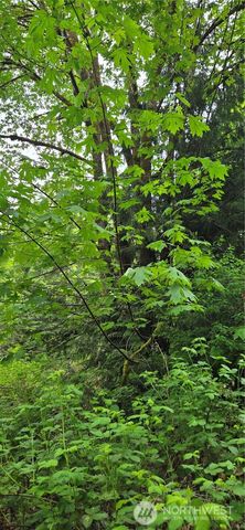 0 Port Gamble Road NE, Poulsbo, WA 98370