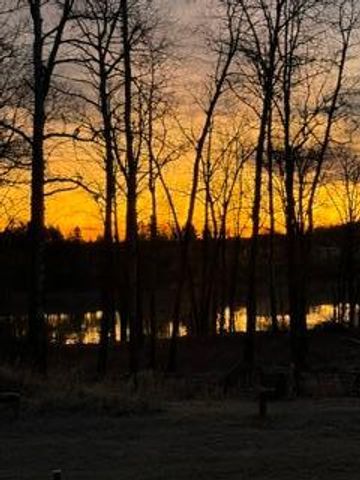 11777 State Highway 11 SE, Baudette, MN 56623
