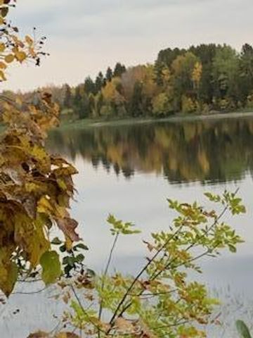 11777 State Highway 11 SE, Baudette, MN 56623